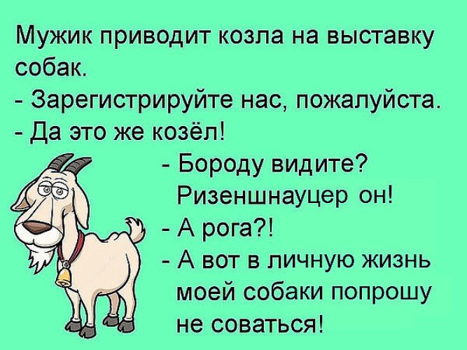 Шутки про козла