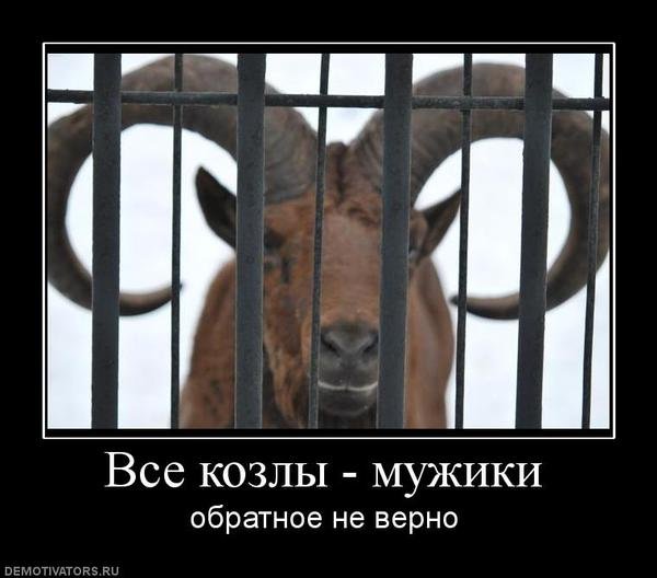 Картинка мужики козлы