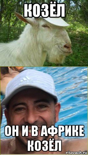 Мемы с козлом