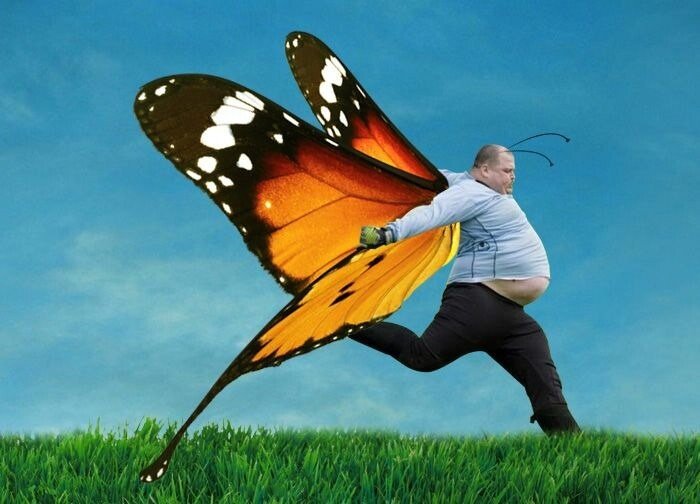 Человек бабочка
