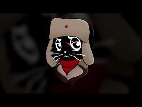 Кот в ушанке