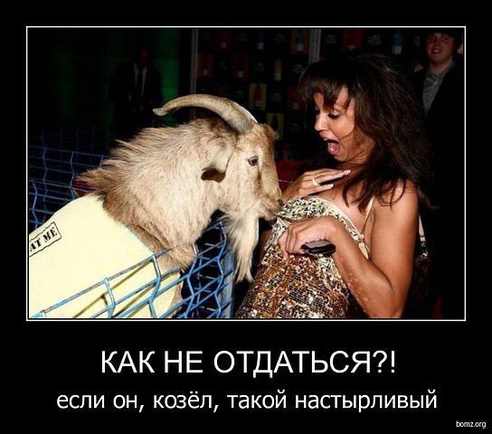 Мужики козлы