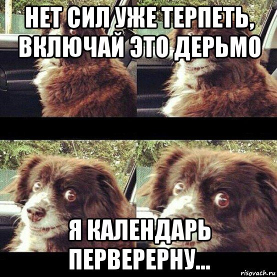 Мем шуфик включай это дерьмо