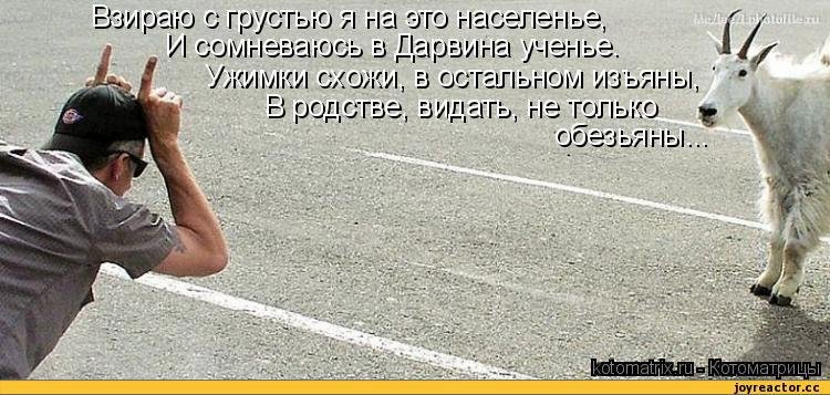 Покажи козла