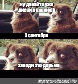 Мем собака давай уже