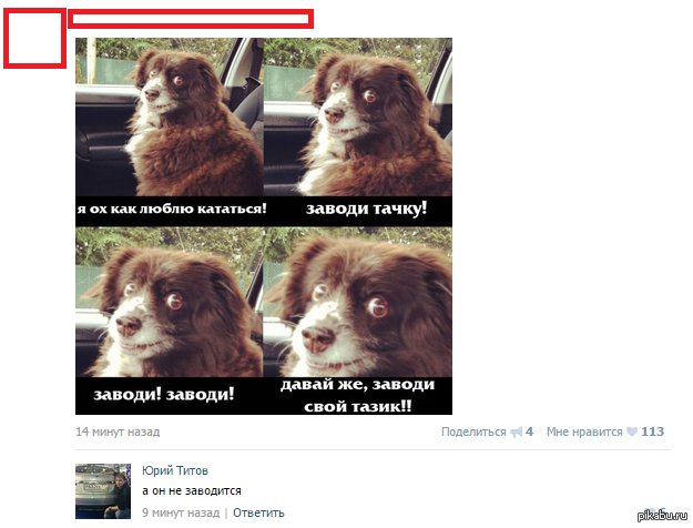 Заводи это собака