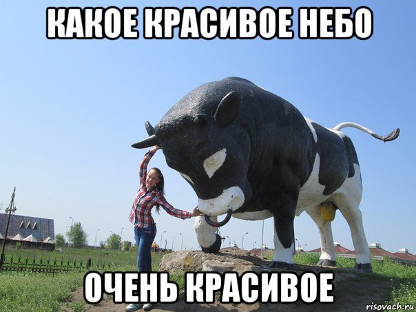 Мемы с коровами