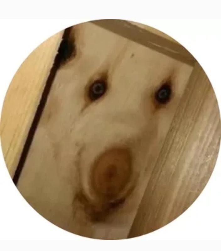 Собака дратути