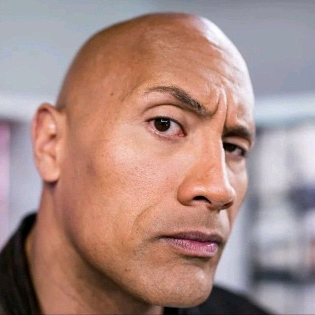 Скала актер поднимает бровь