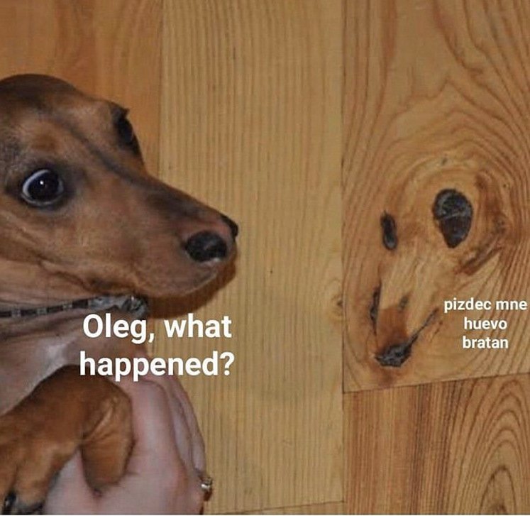 Мемы с собаками