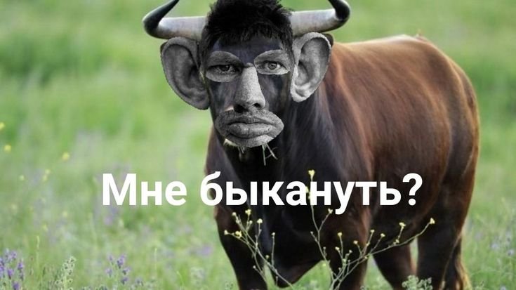 Беседа прикол