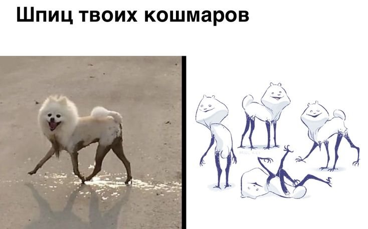 Собака с длинными ногами Мем