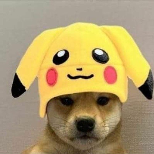 Ава собака в шапке