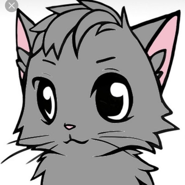 Коты ЮТУБЕРЫ серый кот