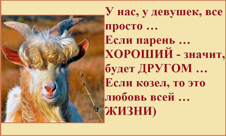 Шутки про козла