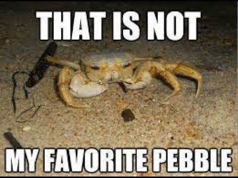 Мемы с крабами