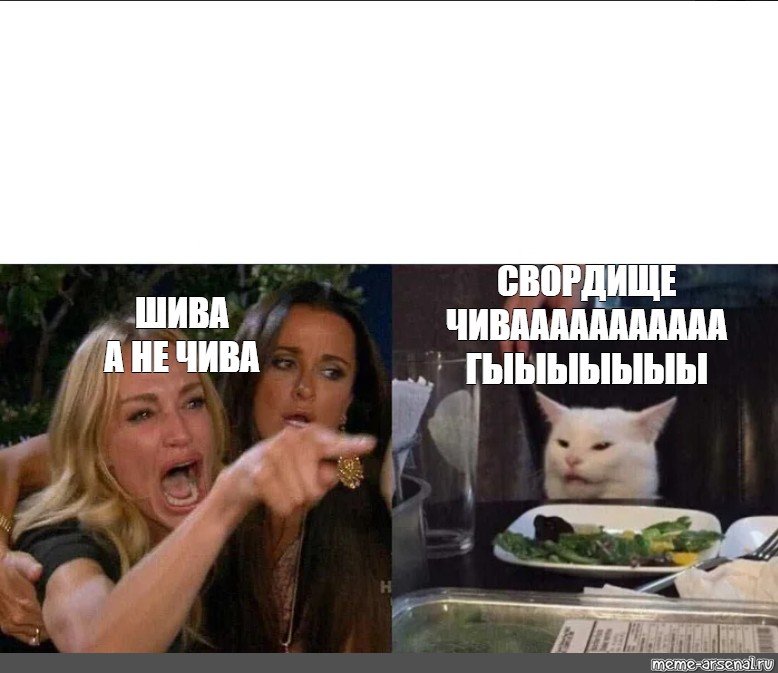 Мем женщина орет на кота