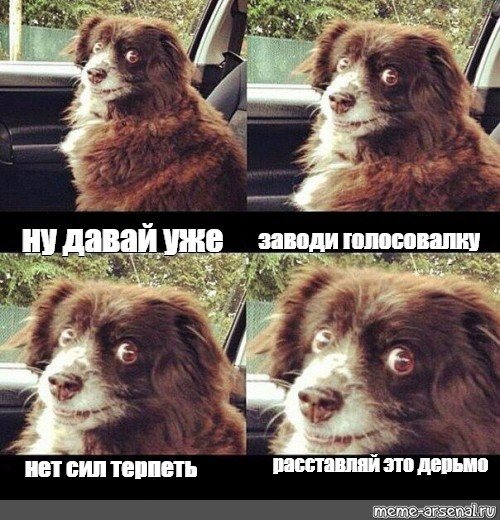 Собака в машине Мем