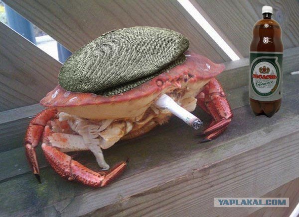 Грустный краб