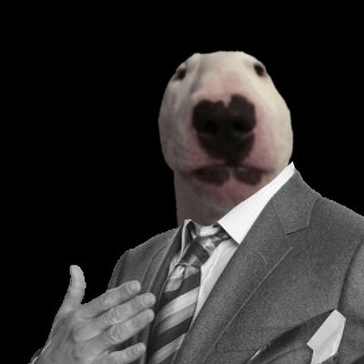 Мемы с собаками