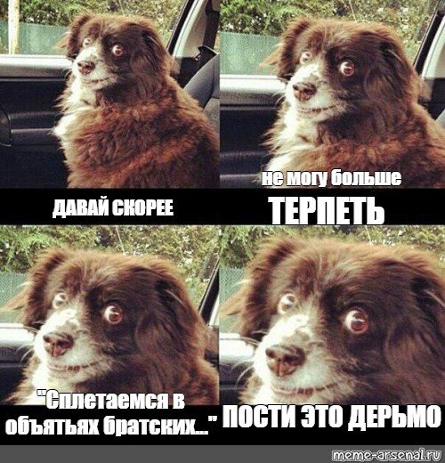 Давай врубай это дерьмо