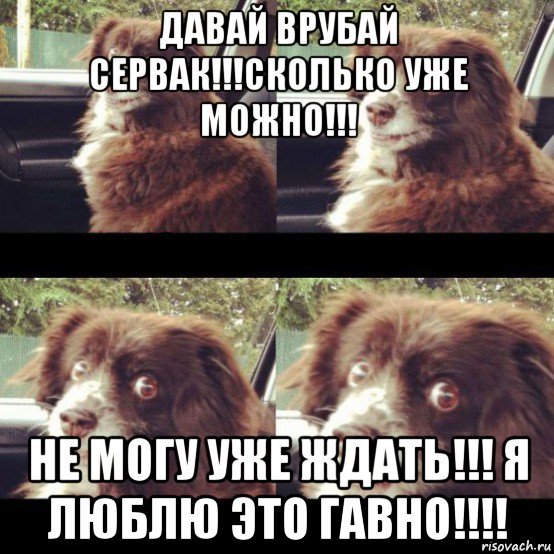 Давай врубай уже