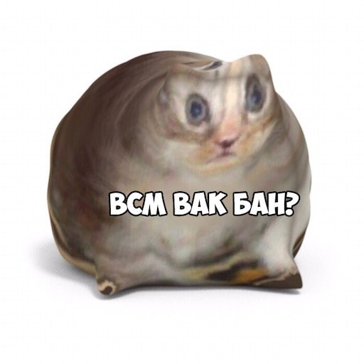 Кот Мем
