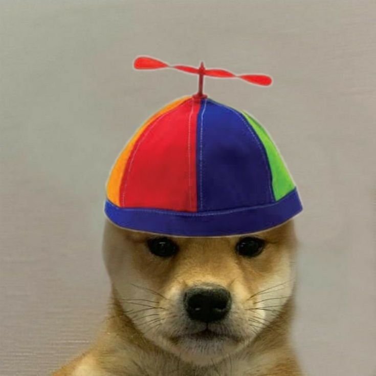 Dogwifhat Jojo