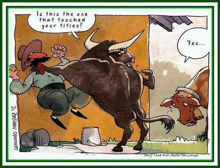 Смешные шутки про быка