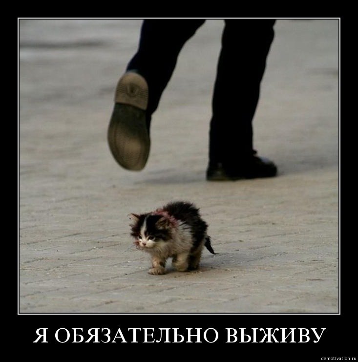 Я обязательно выживыкот