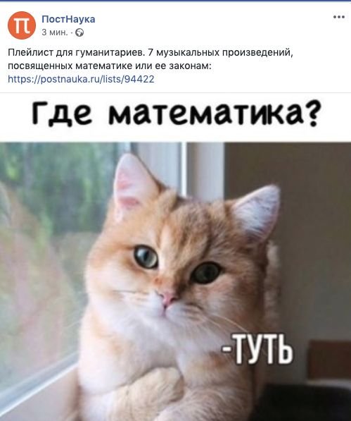 Тут Мем кот