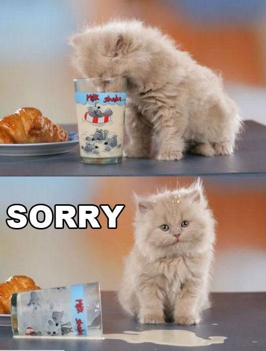 Я русский кот