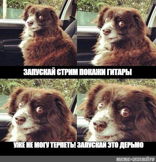 Давай заводи это дерьмо Мем