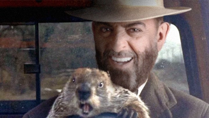 Мем шуфик собака