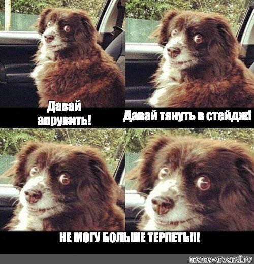 Оно может больше Мем с собакой
