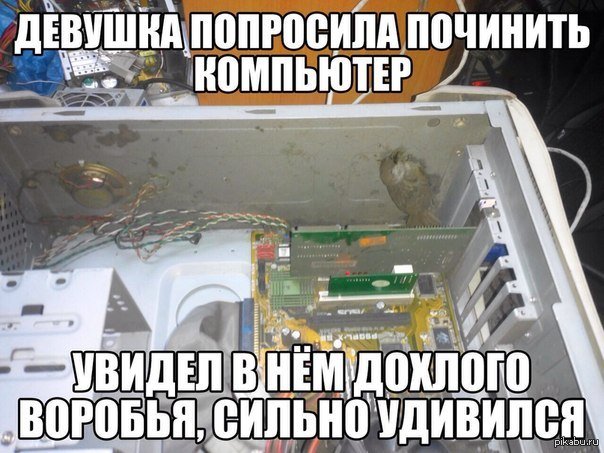Приколы про компы