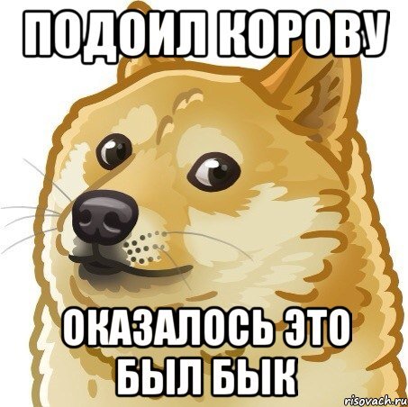 Грустный Doge