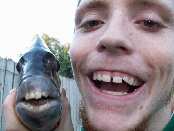 Дебильная рыба