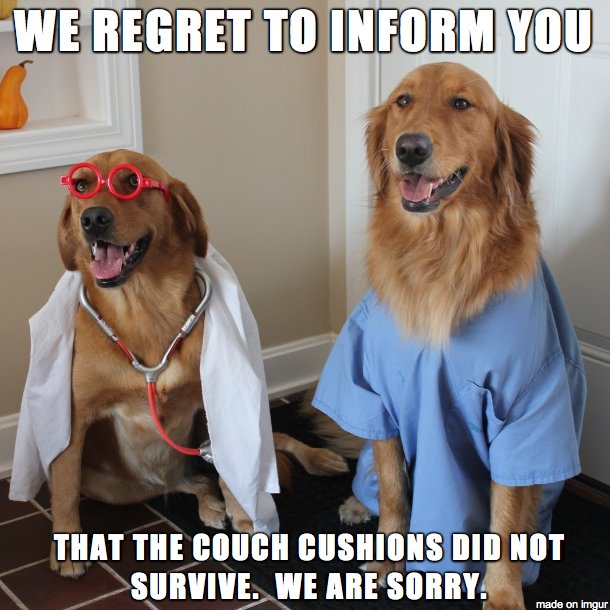 Собаки с хорошим здоровьем