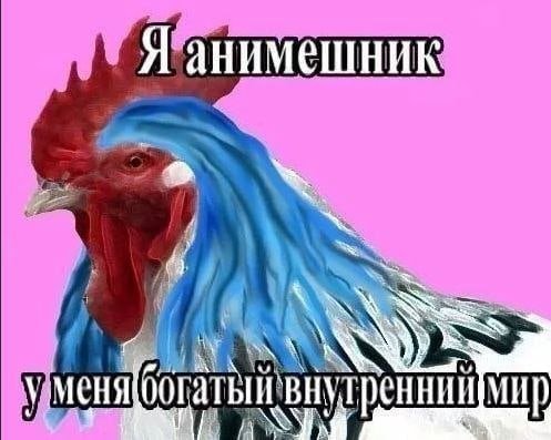 Анимешники петухи