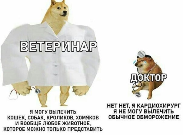 Доге и Чимс мемы