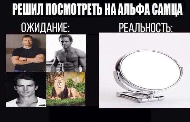 Внешность Альфа самца