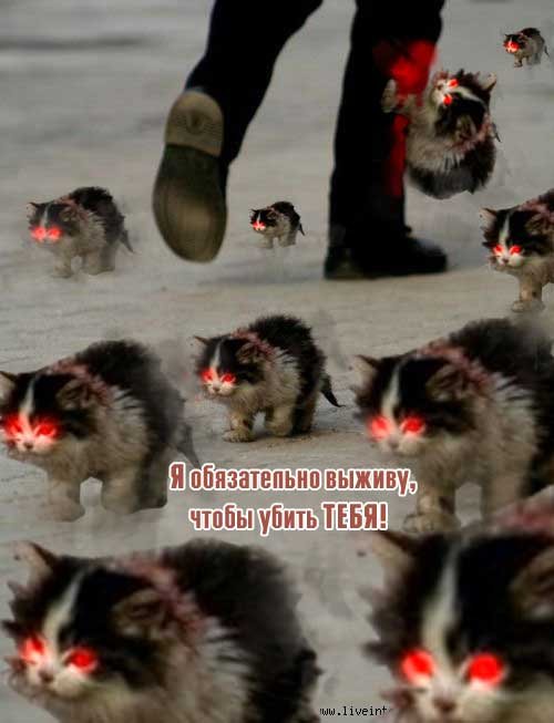 Мем котёнок я обязательно выдиву