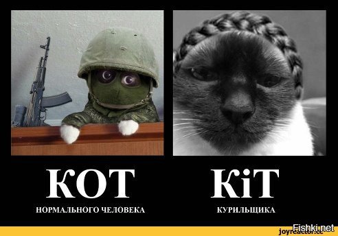 Вежливые люди с котом