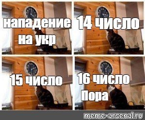 Кот пора с часами