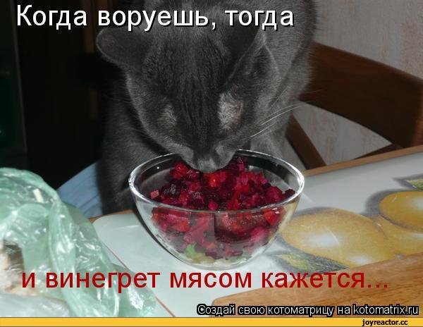 Винегрет прикол