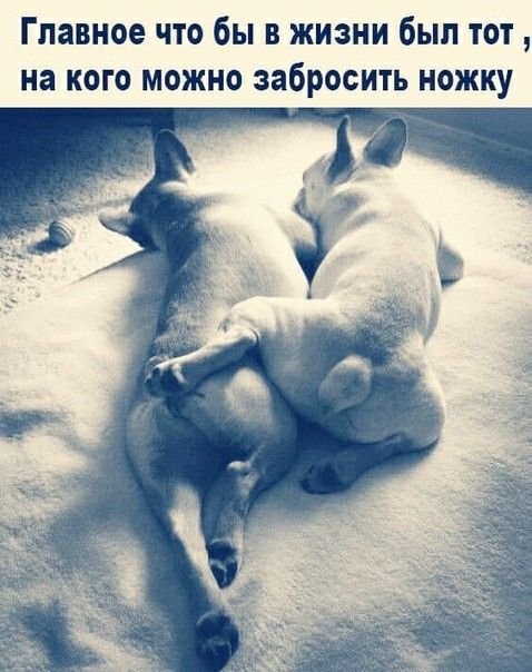 Главное в жизни