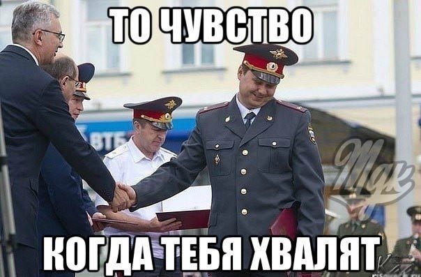 Мем похвалили