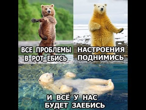 Мем для поднятия настроения