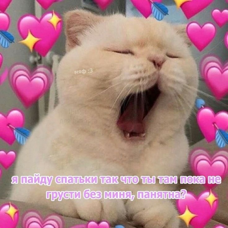 Милые котики с сердечками